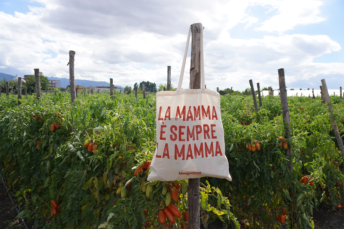 mama 3